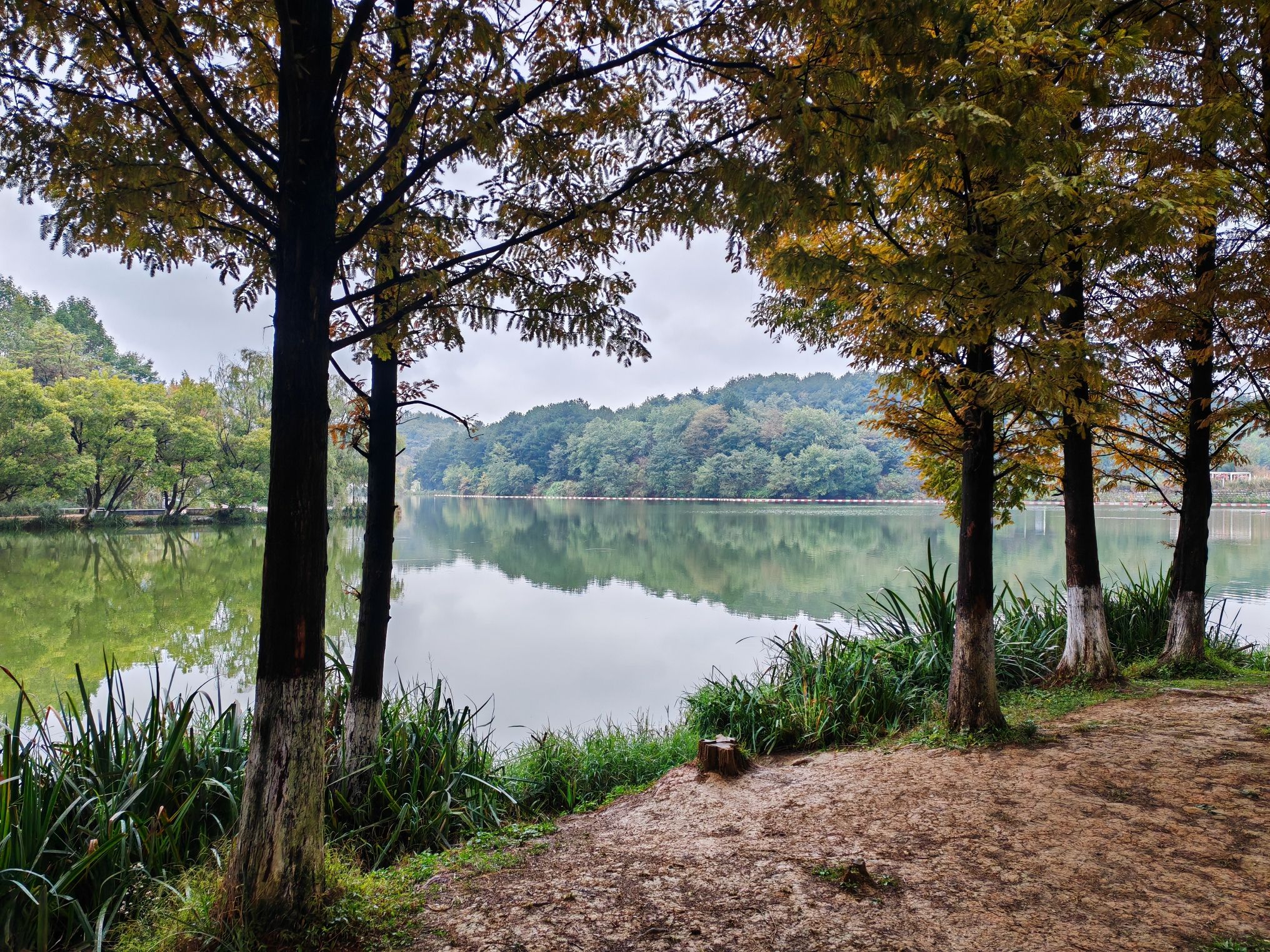 阅山湖公园旅行图片 3
