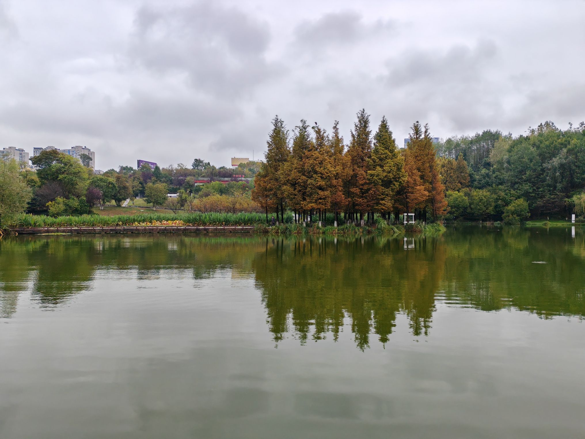 阅山湖公园旅行图片 2