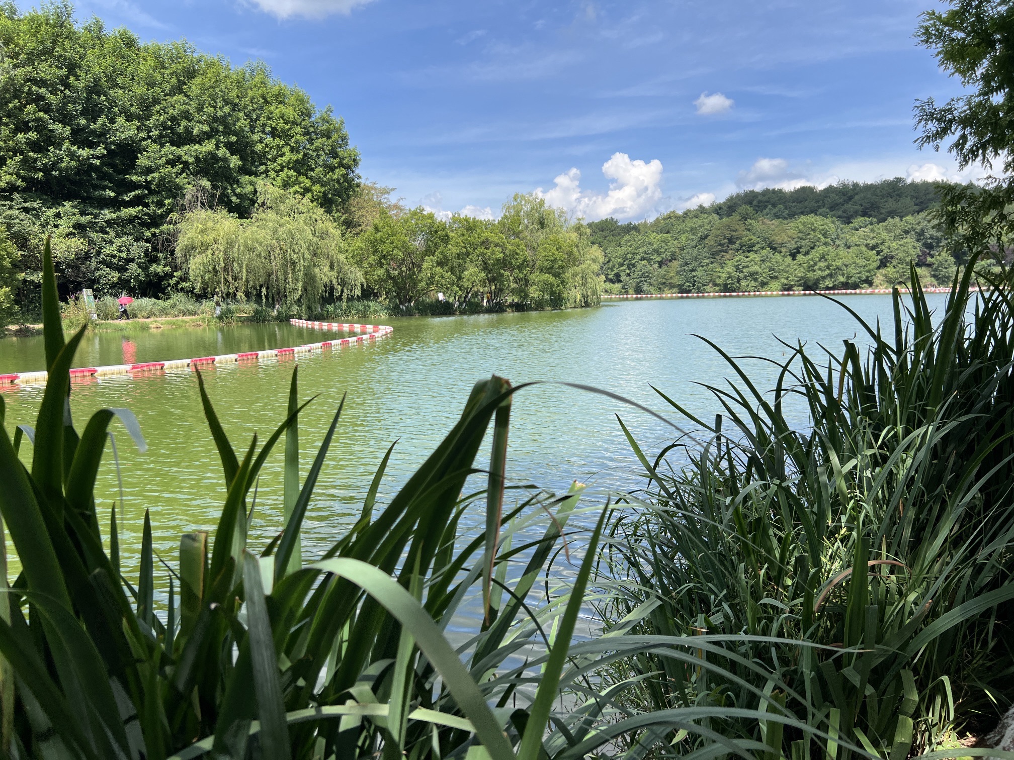 阅山湖公园旅行图片 1