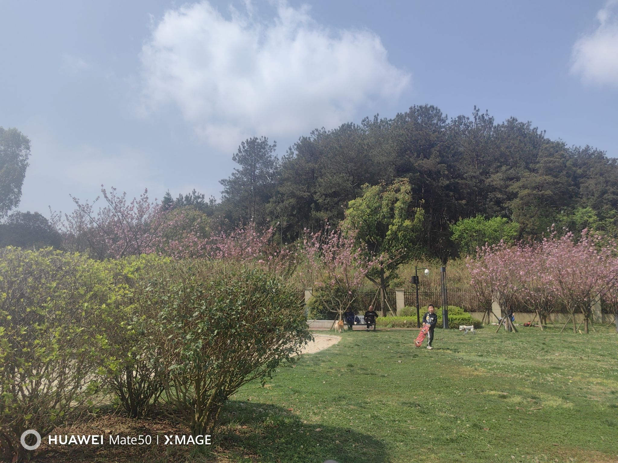 阅山湖公园旅行图片 2