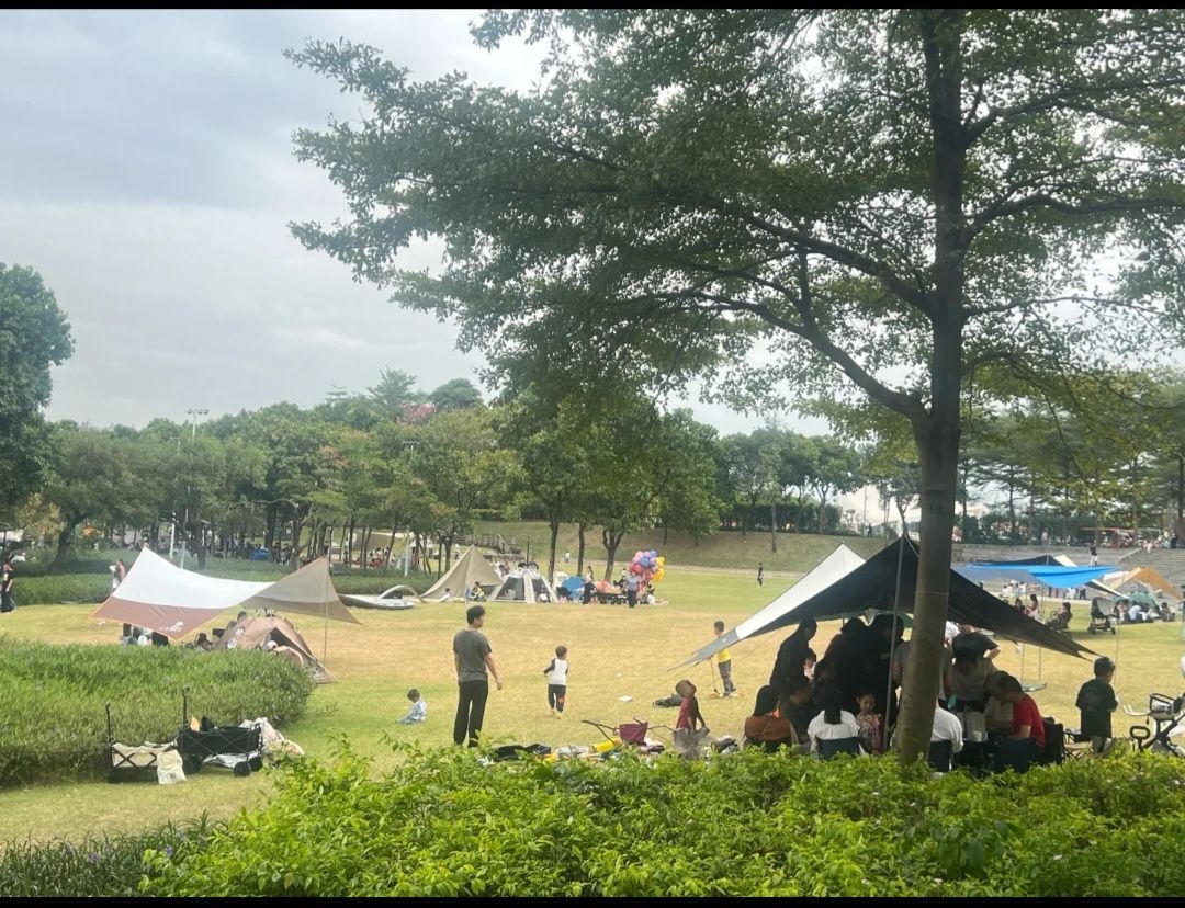 江滨公园旅行图片 3