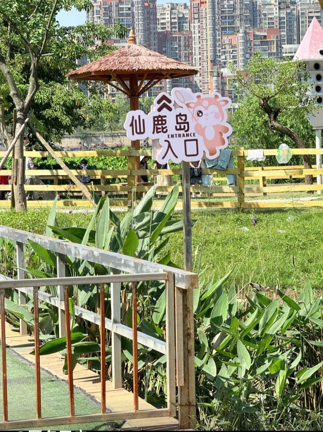 江滨公园旅行图片 2