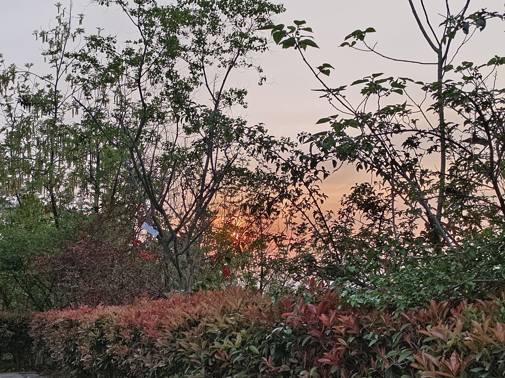 婆城公园旅行图片 2