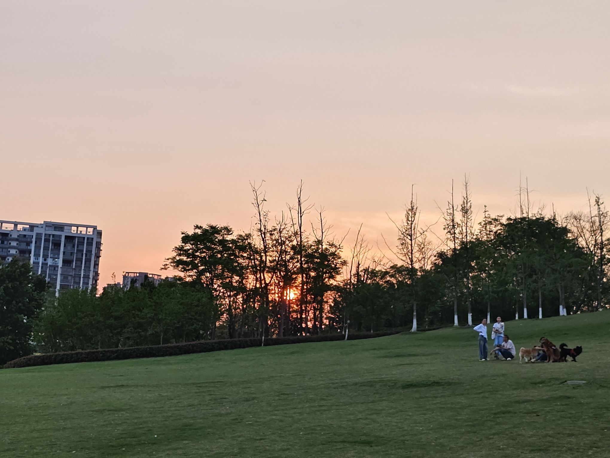 婆城公园旅行图片 1