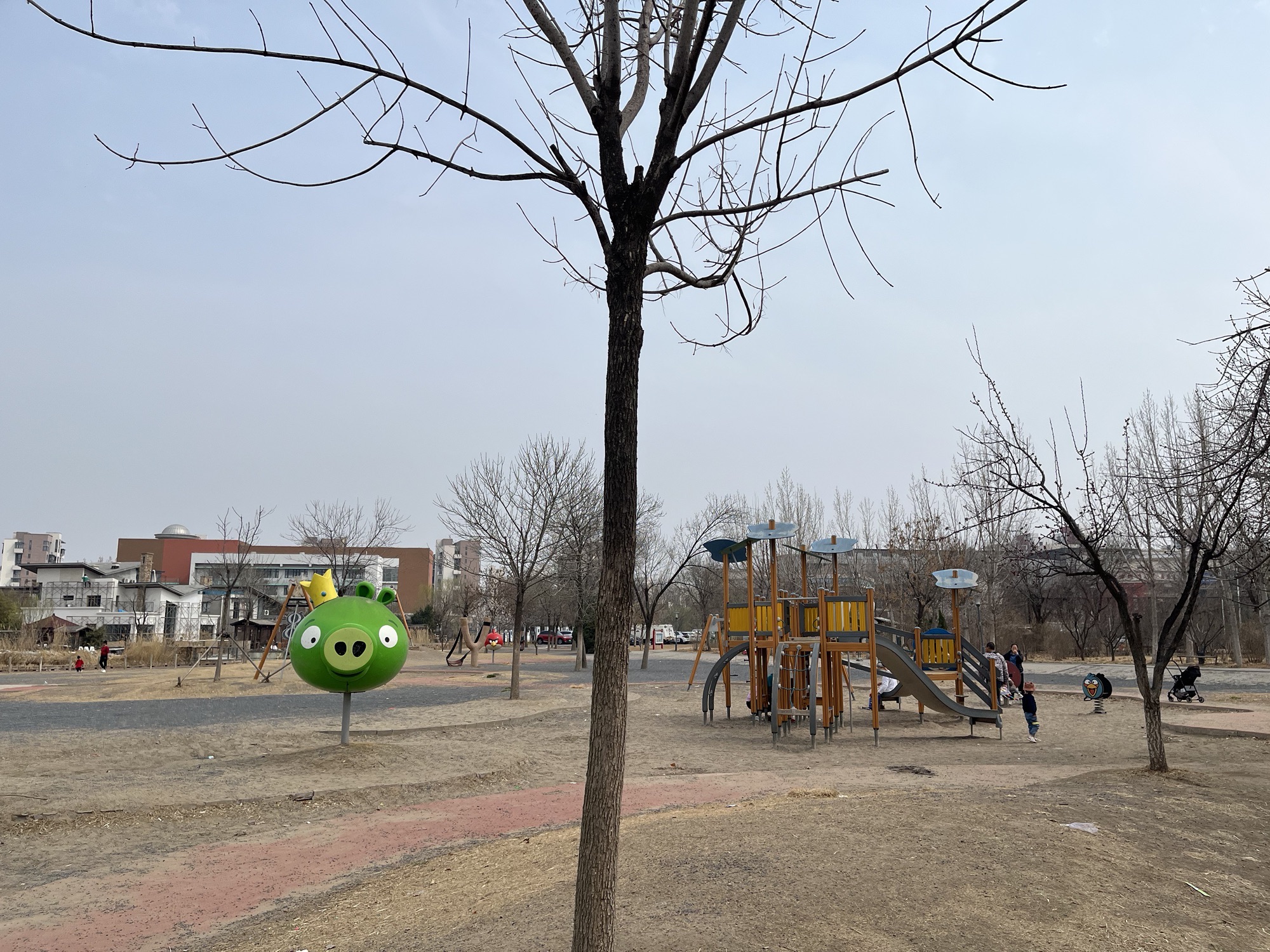 东丽湖旅行图片 2