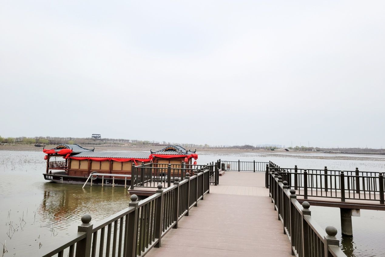 东丽湖旅行图片 2
