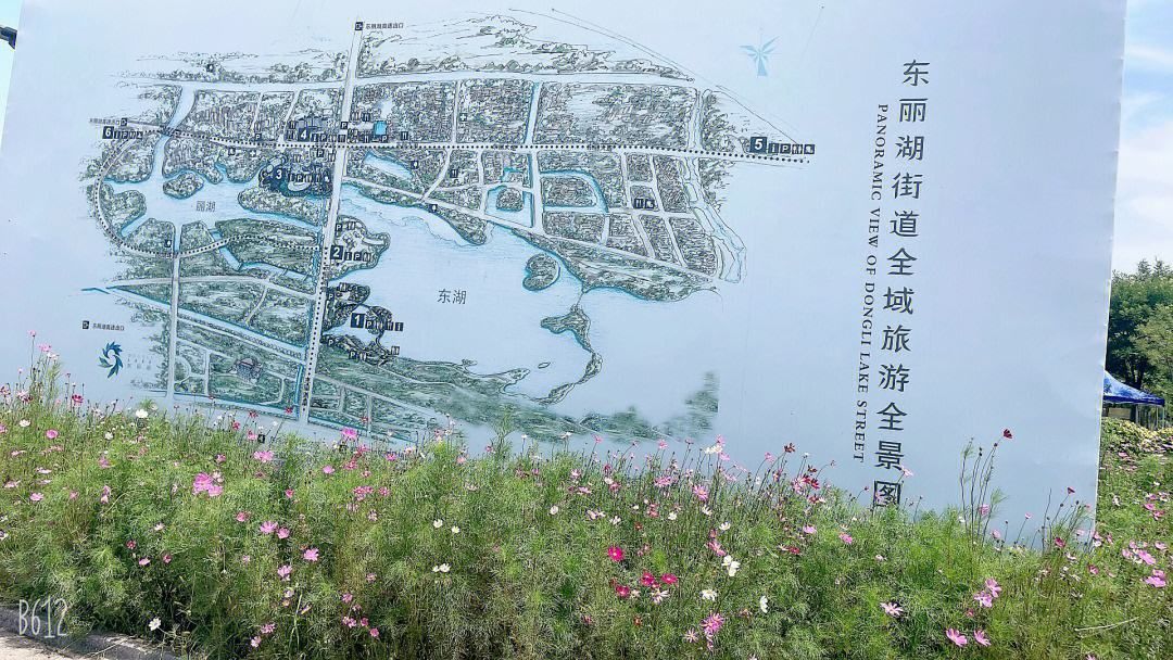 东丽湖旅行图片 3