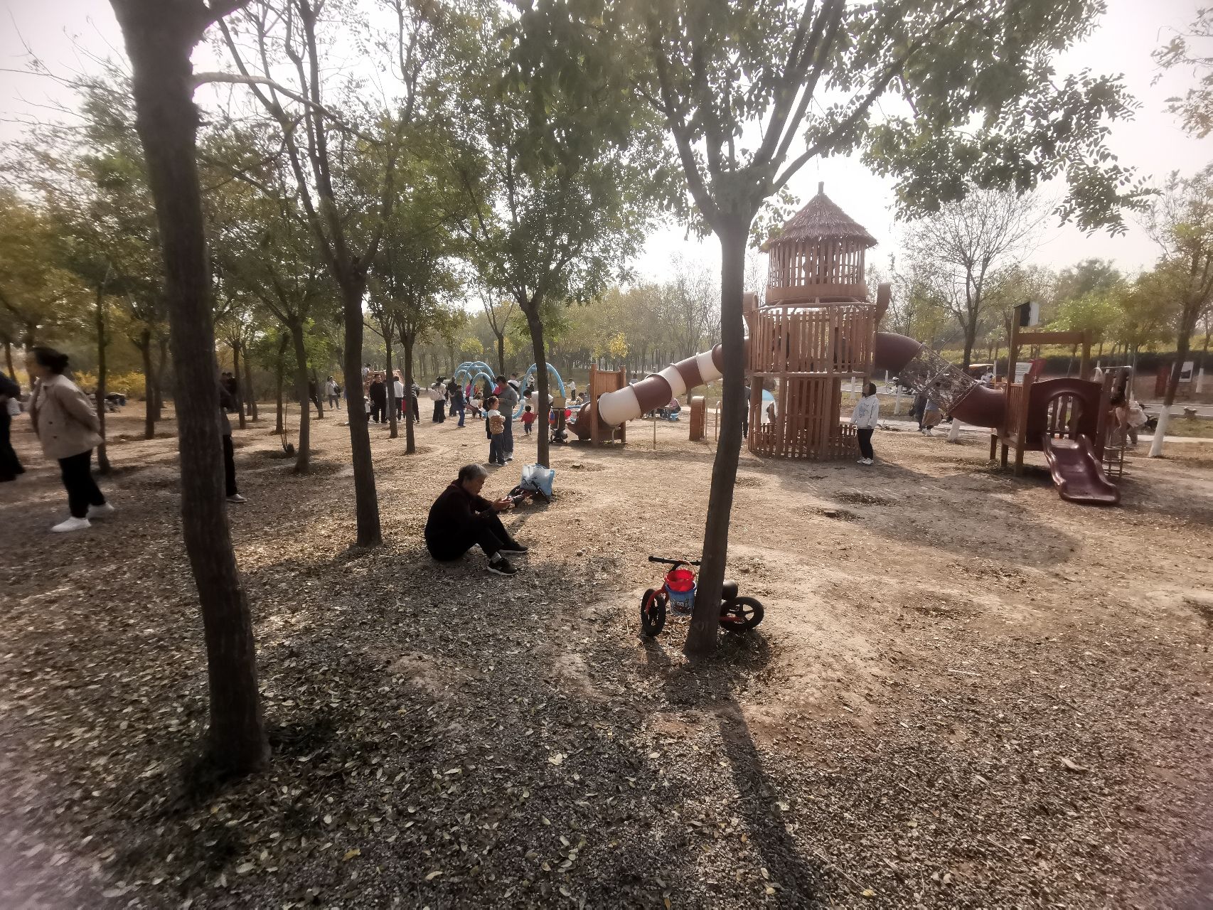 东丽湖旅行图片 2