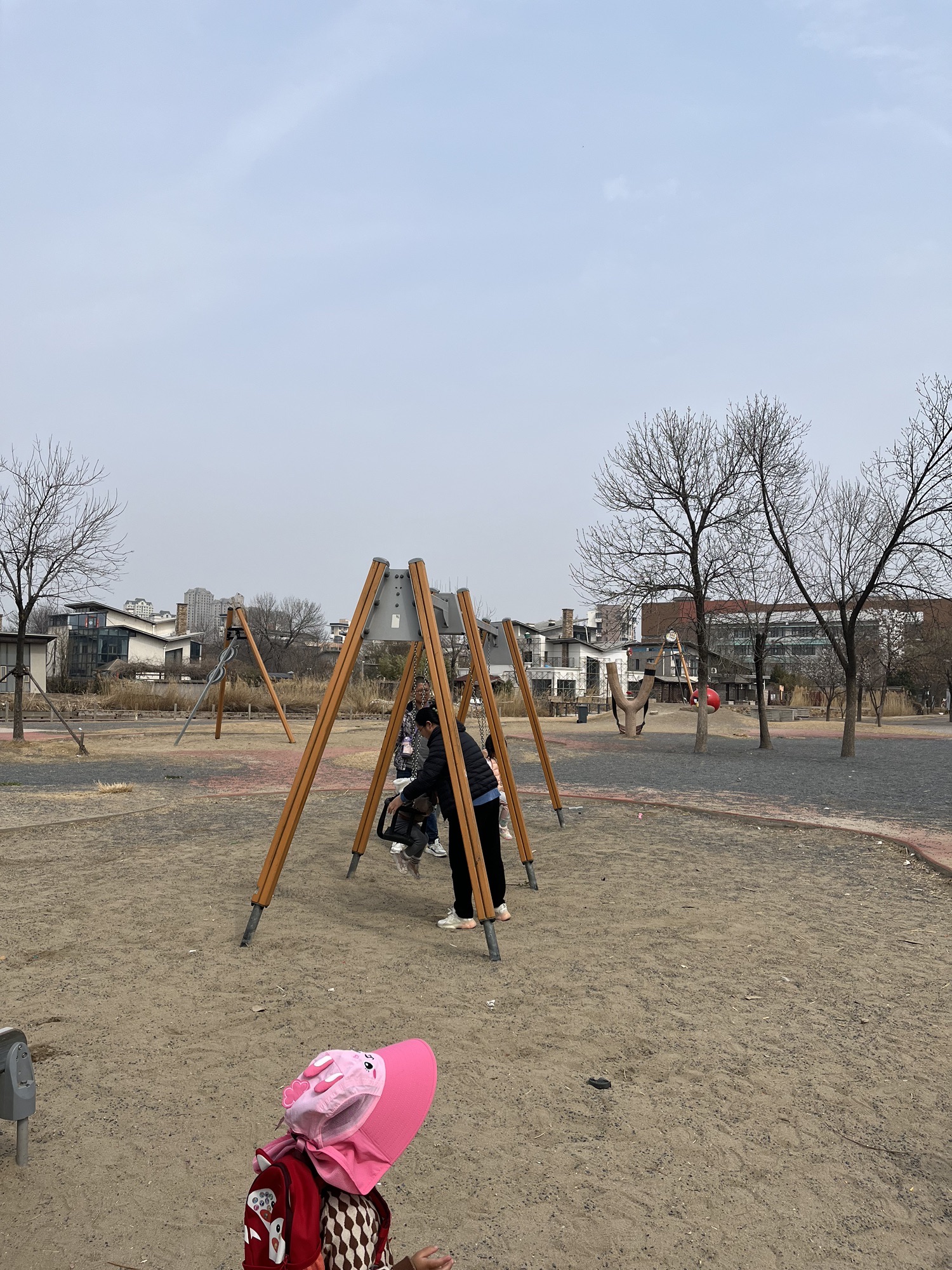 东丽湖旅行图片 1