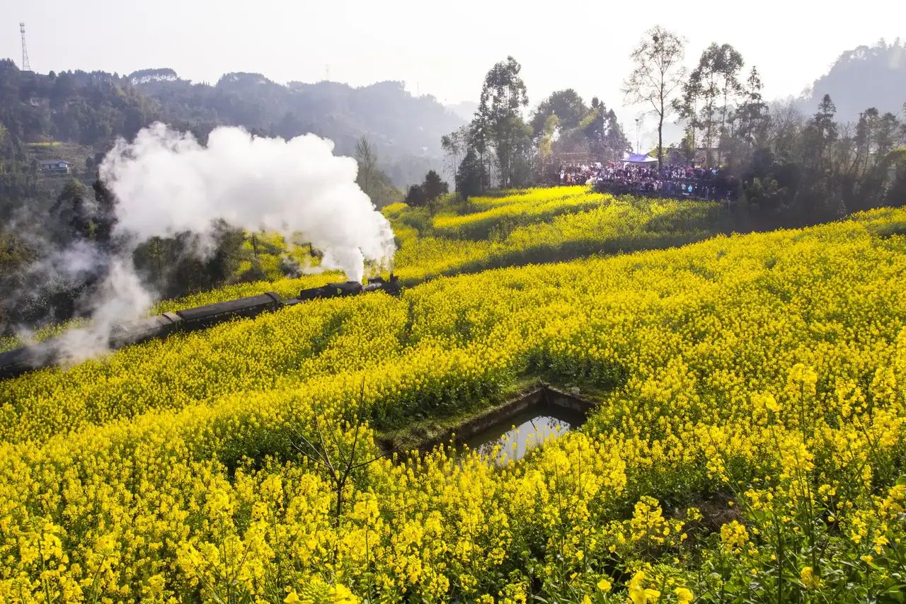 嘉阳·桫椤湖旅游景区旅行图片 3