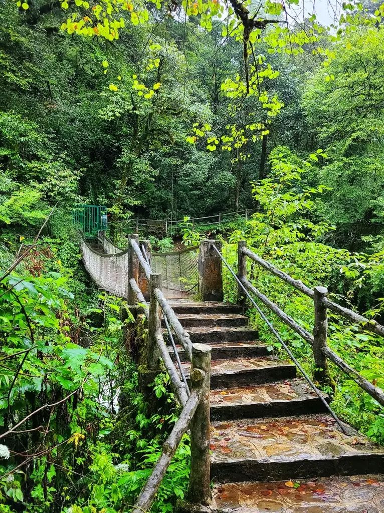 嘉阳·桫椤湖旅游景区旅行图片 1