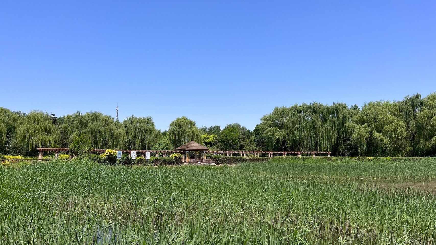 潞城中心公园旅行图片 3