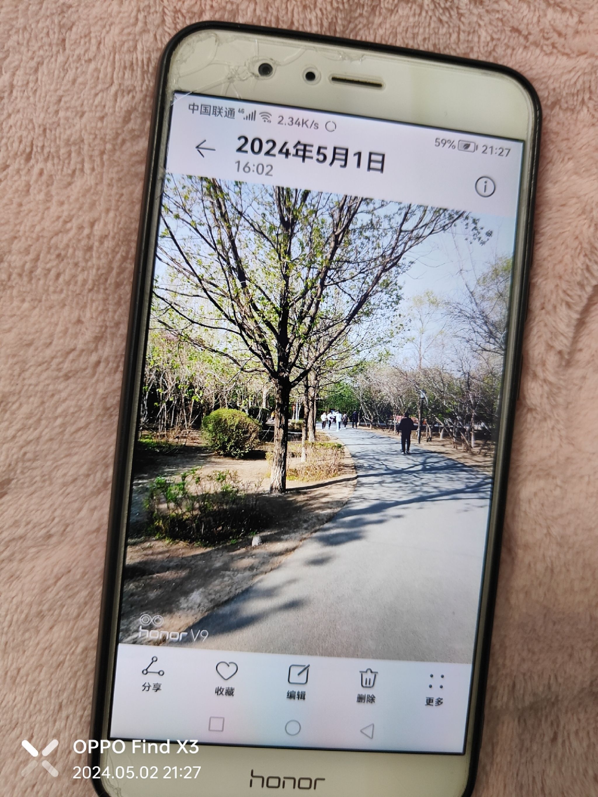 德惠市文化公园旅行图片 1