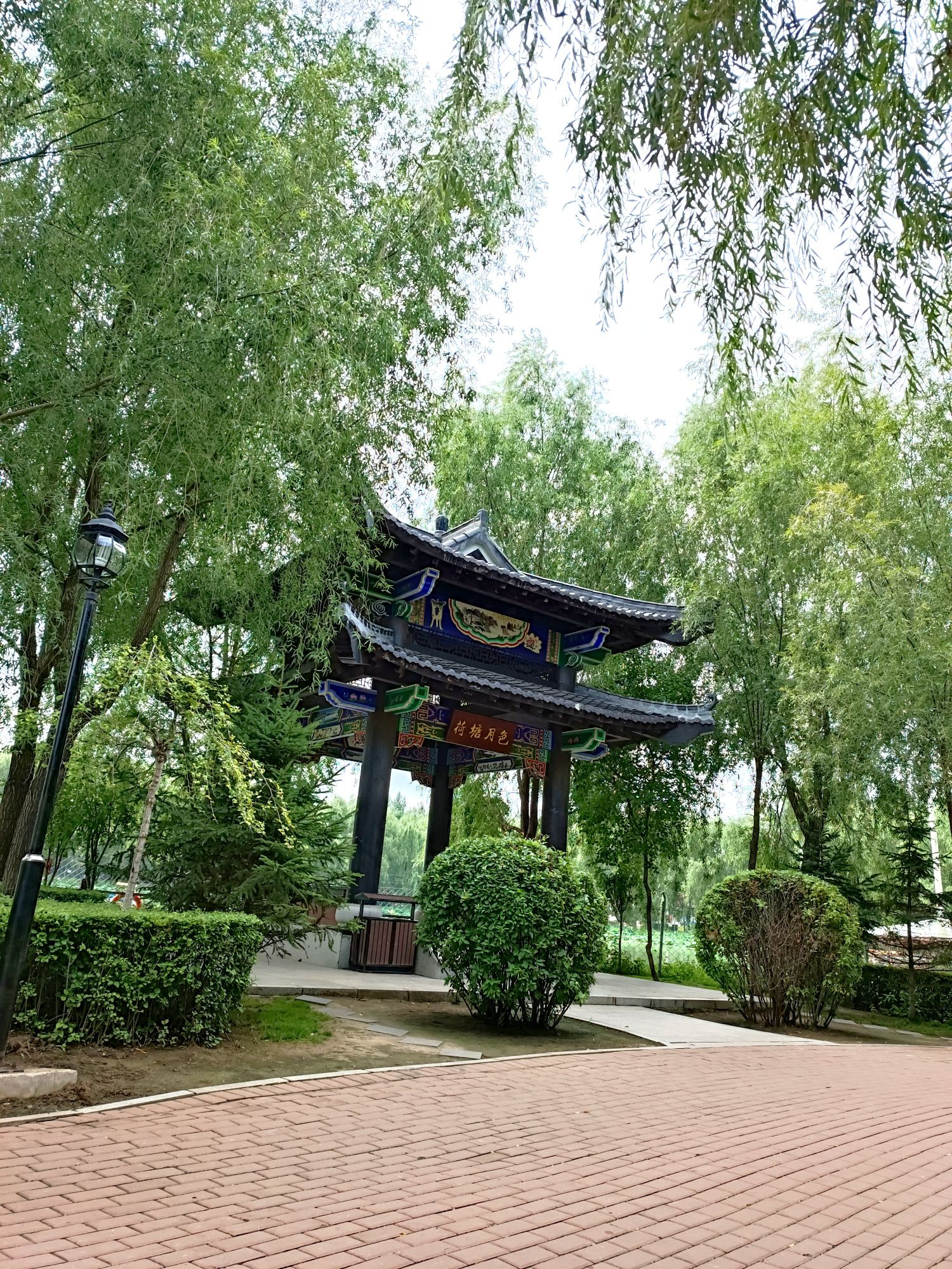 德惠市文化公园旅行图片 3