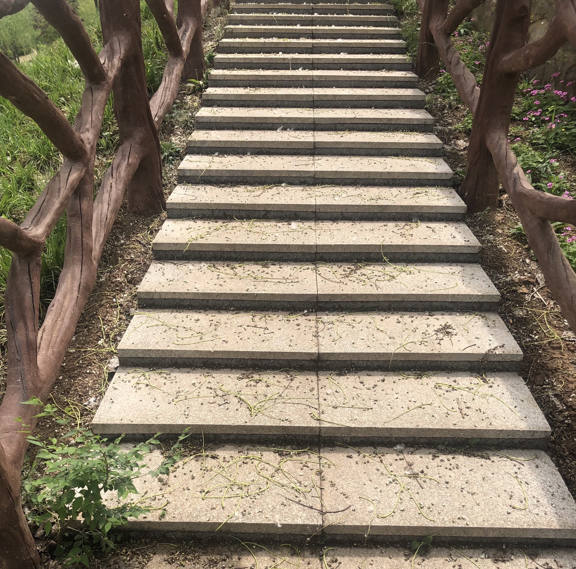 绛县生态公园旅行图片 1
