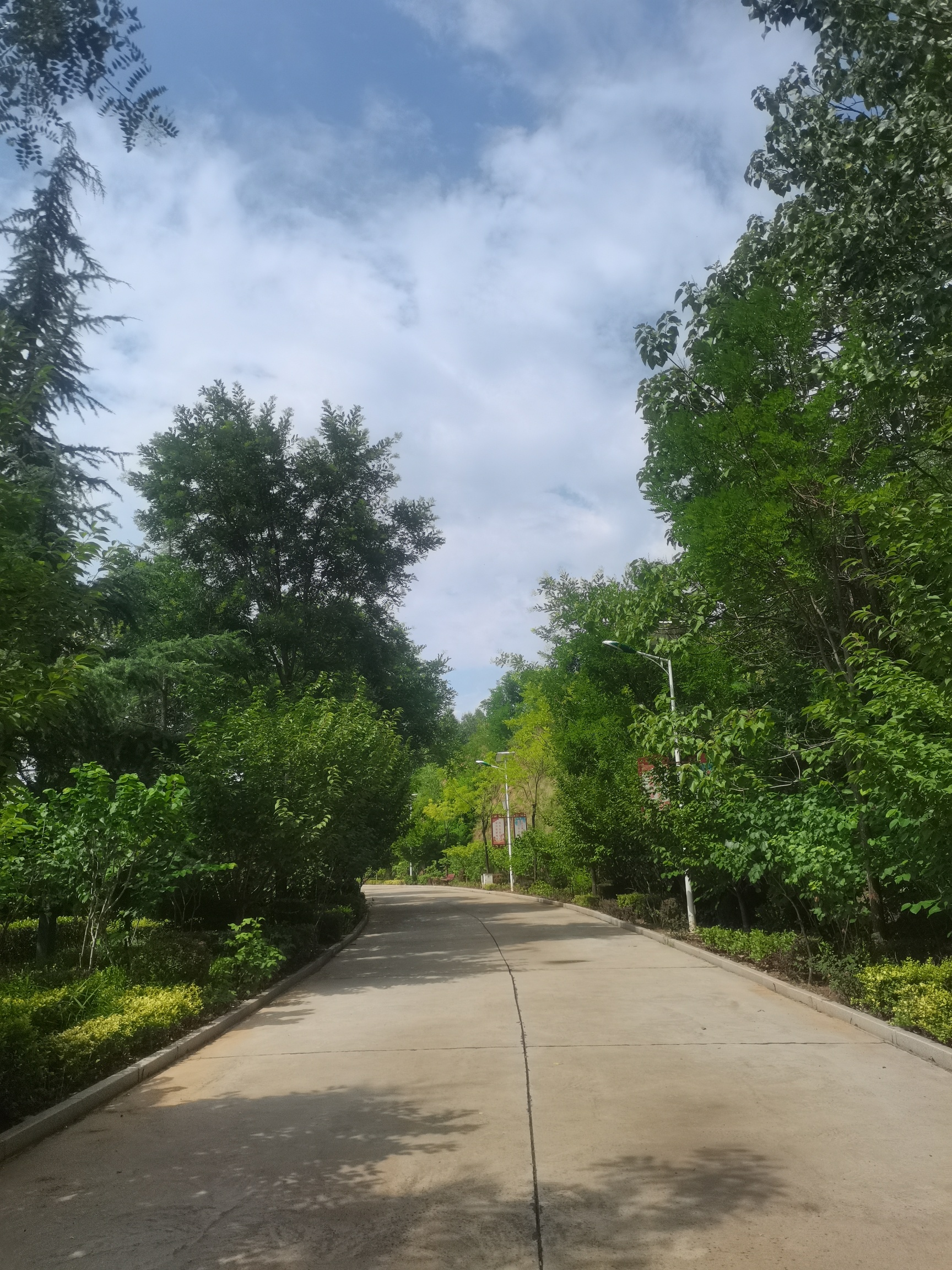 绛县生态公园旅行图片 1