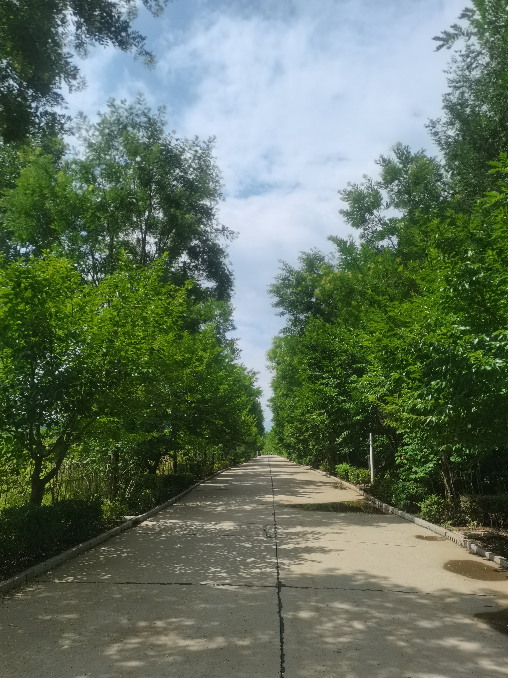 绛县生态公园旅行图片 2