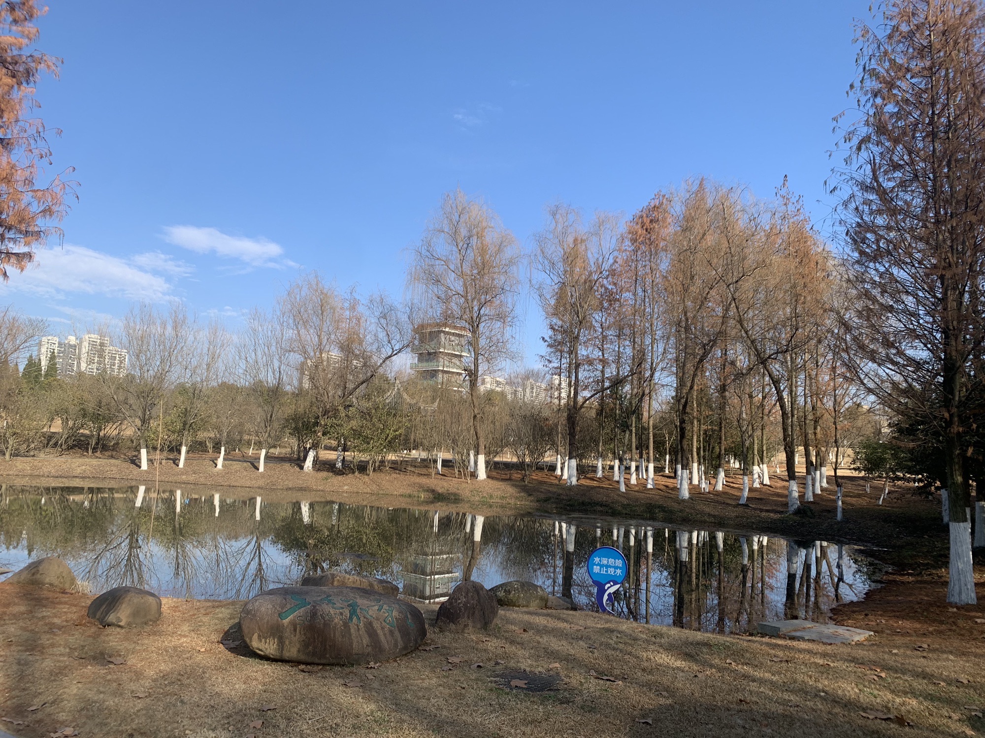 中央公园旅行图片 2