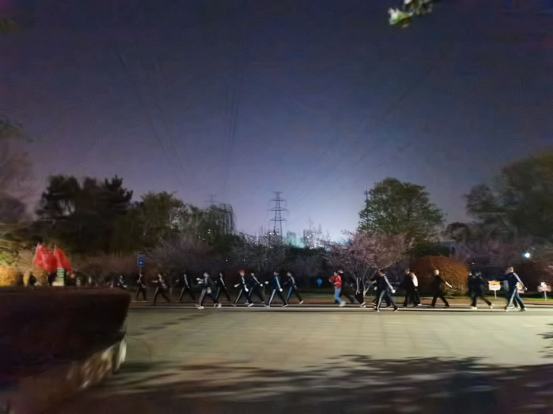 中央公园旅行图片 1