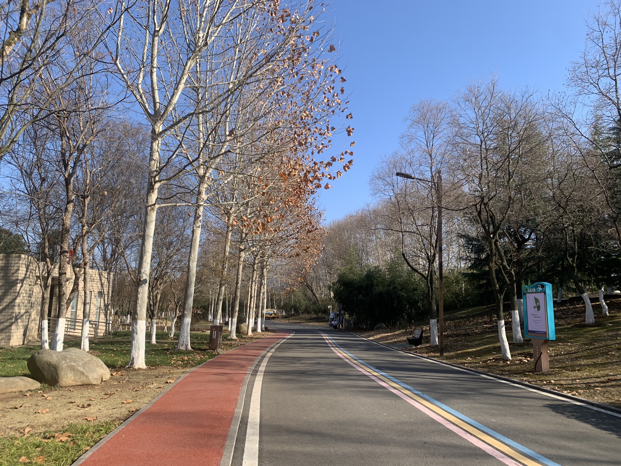 中央公园旅行图片 3
