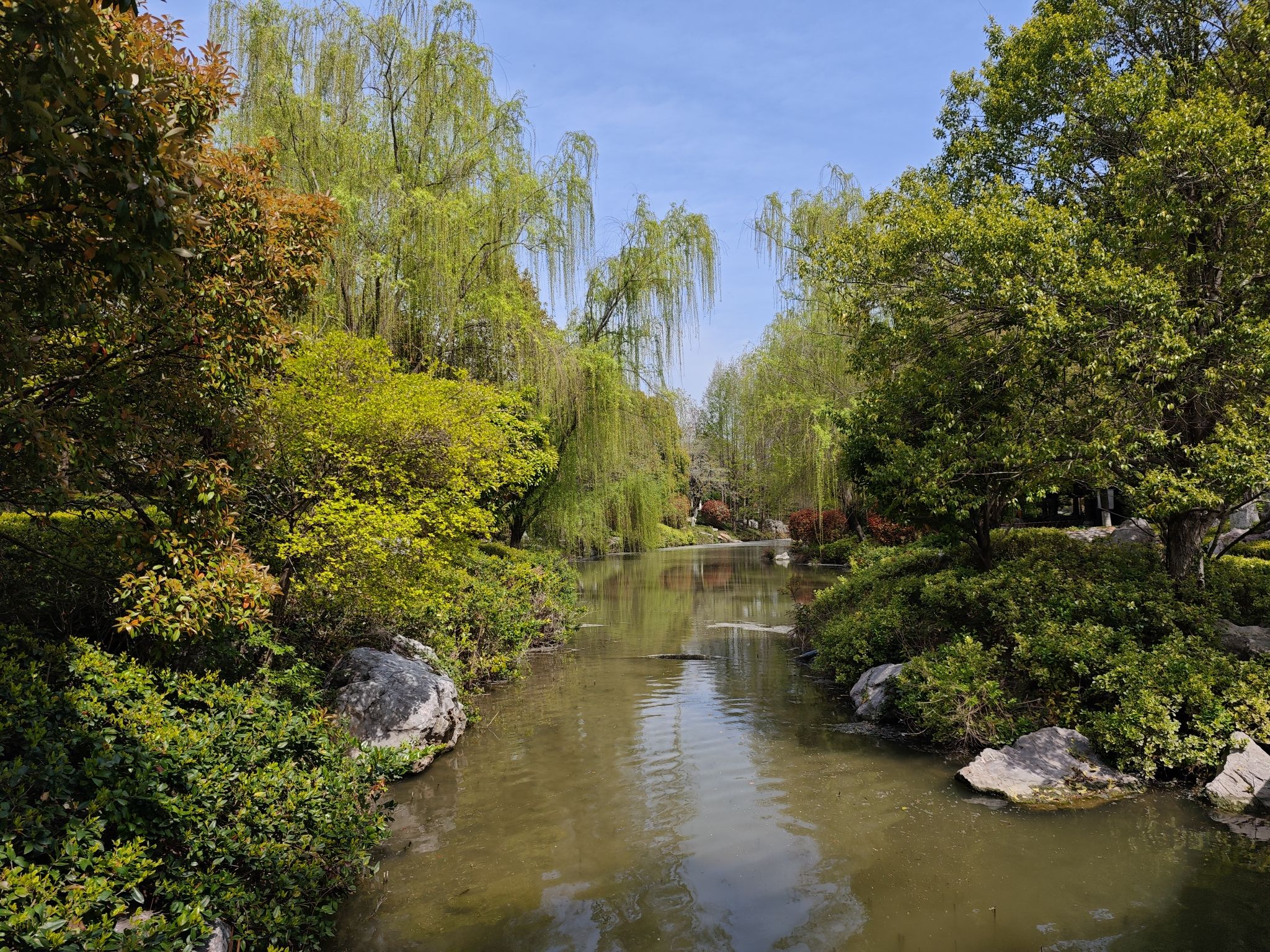 颍上县江心洲滨河公园旅行图片 3