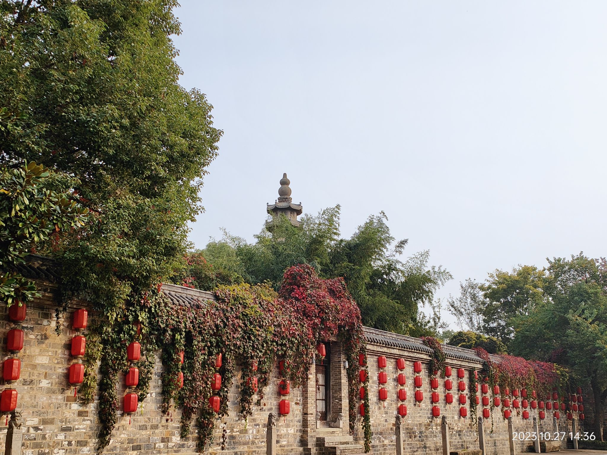 颍上县江心洲滨河公园旅行图片 3