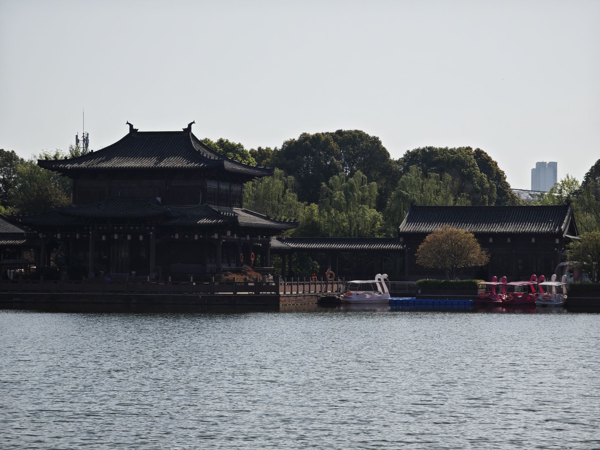 颍上县江心洲滨河公园旅行图片 2