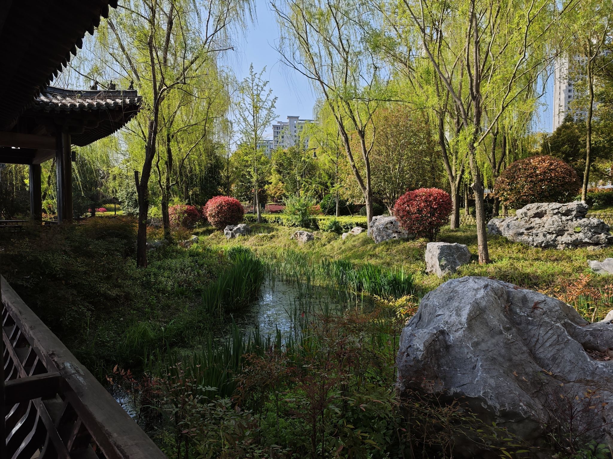 颍上县江心洲滨河公园旅行图片 1