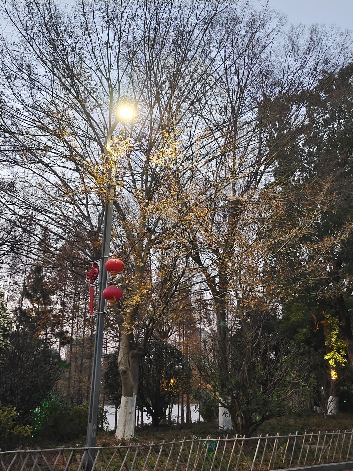 颍上县江心洲滨河公园旅行图片 2