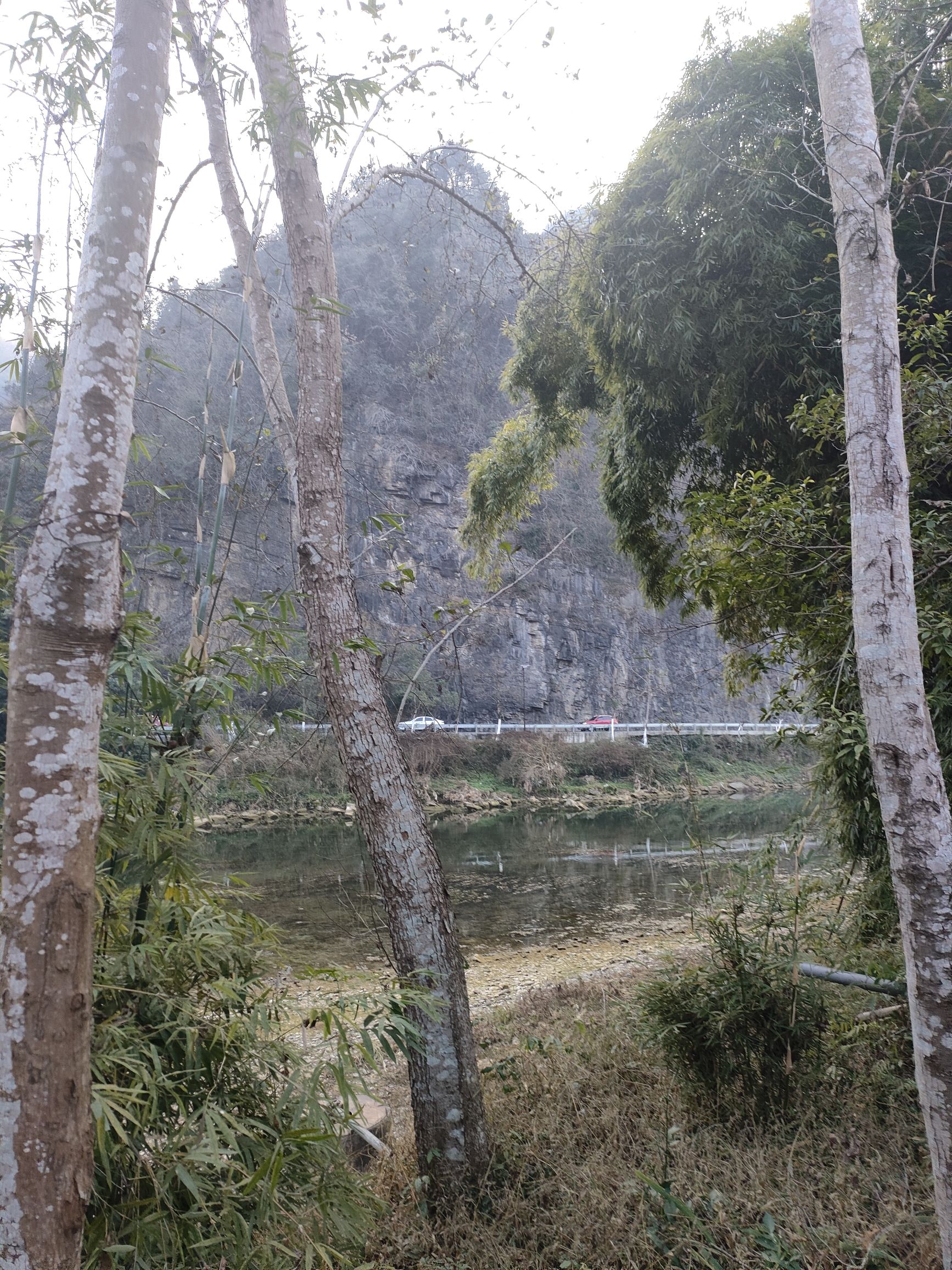 谷韵绿道旅行图片 1