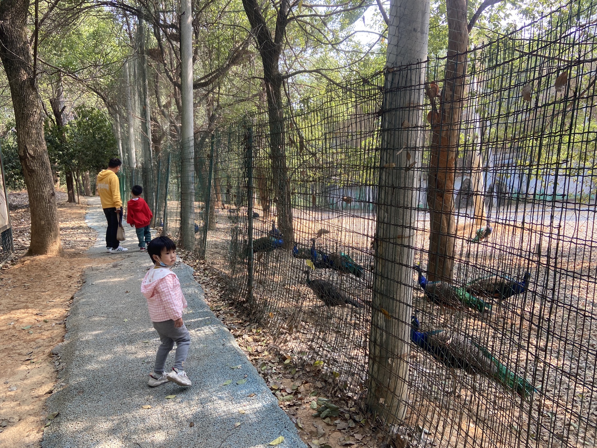 博盛生态体验园旅行图片 1