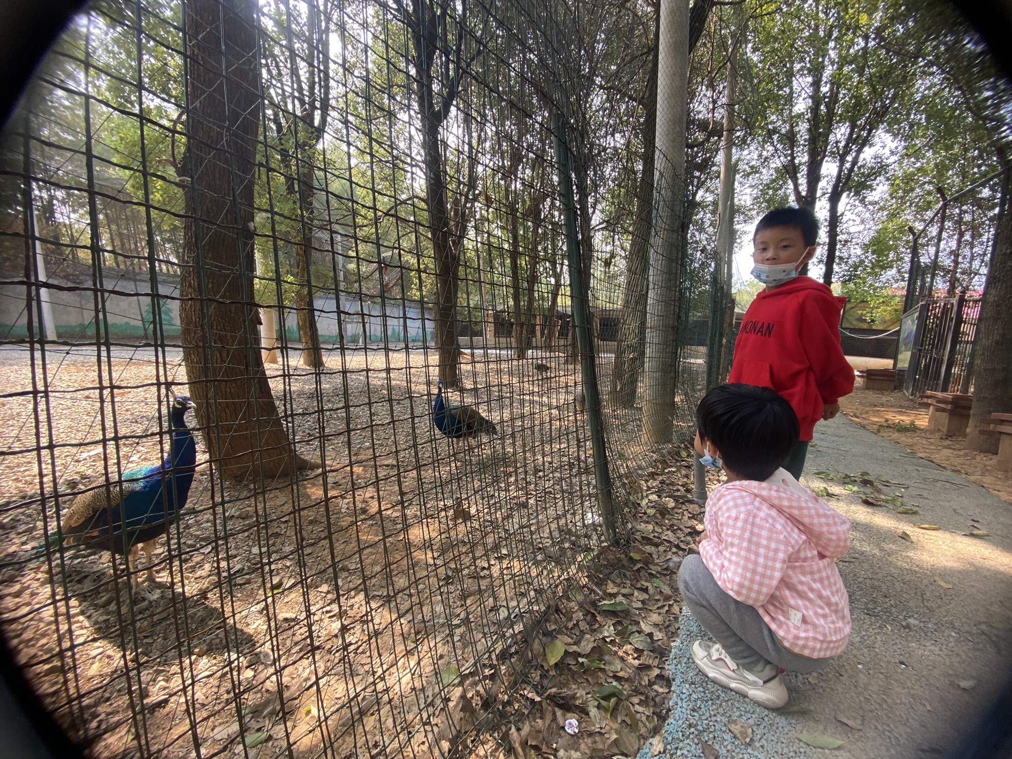 博盛生态体验园旅行图片 3