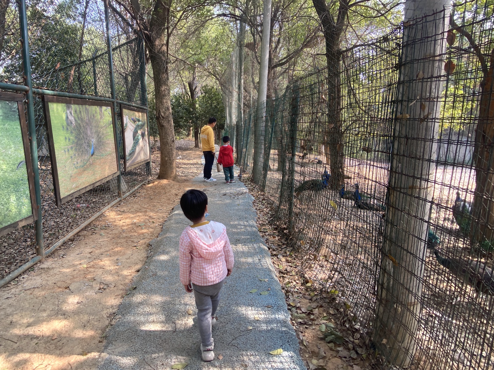 博盛生态体验园旅行图片 2