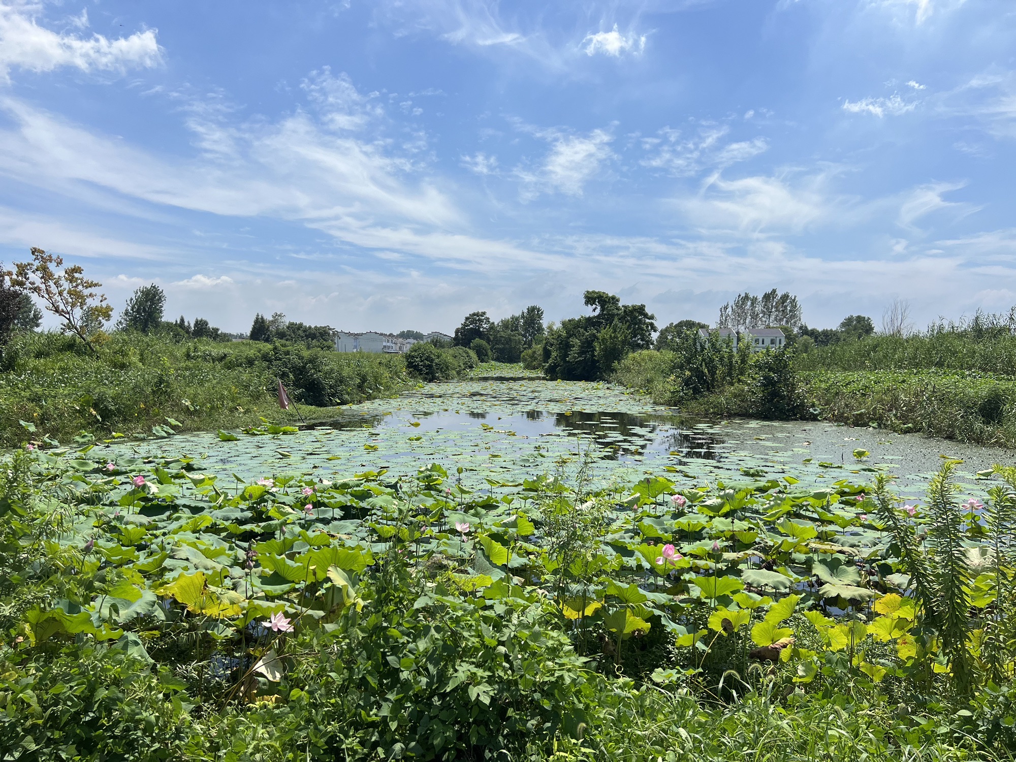 陶辛水韵景区旅行图片 3