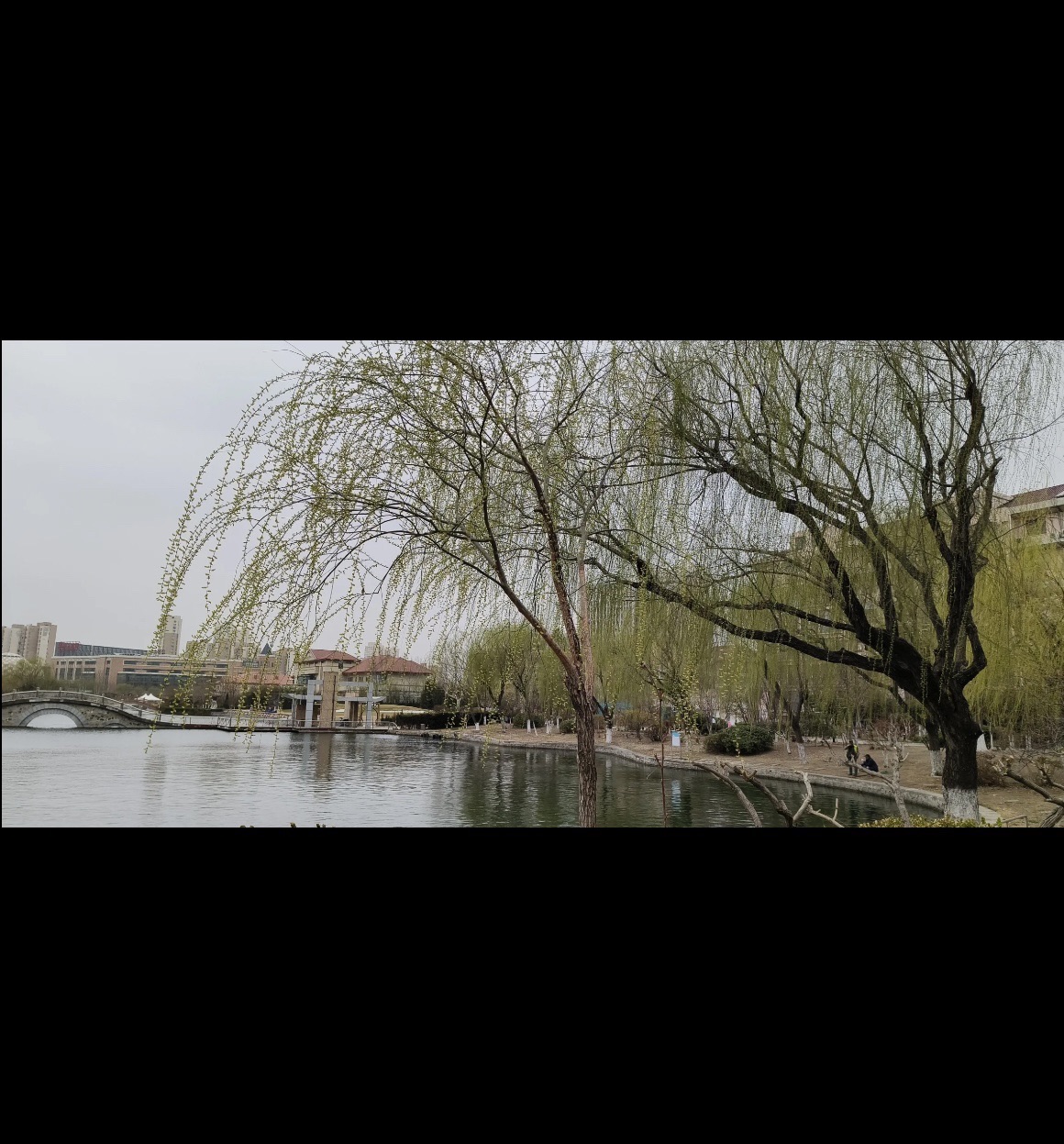 天士力大健康城旅行图片 2