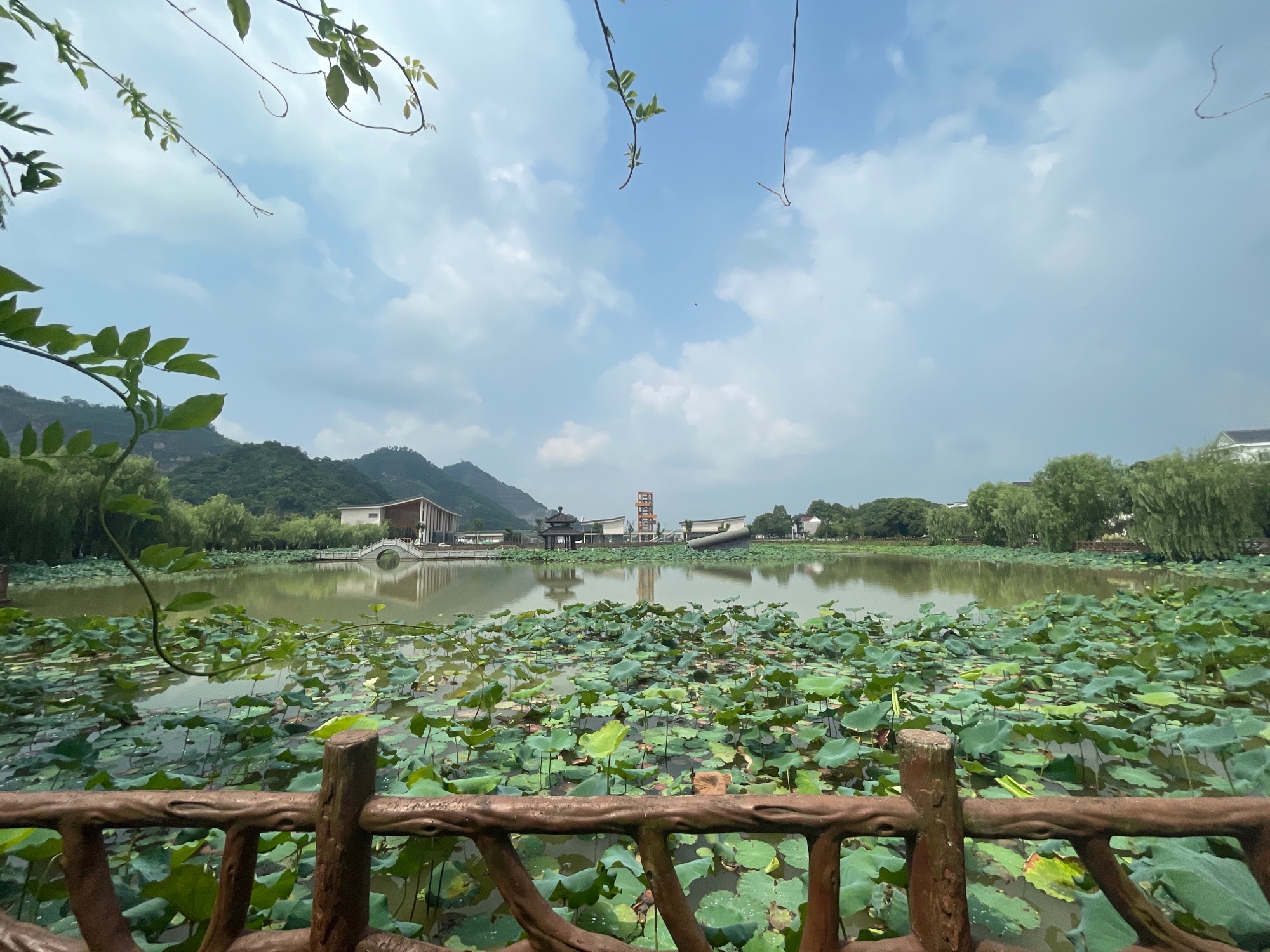 里叶十里荷花旅行图片 1