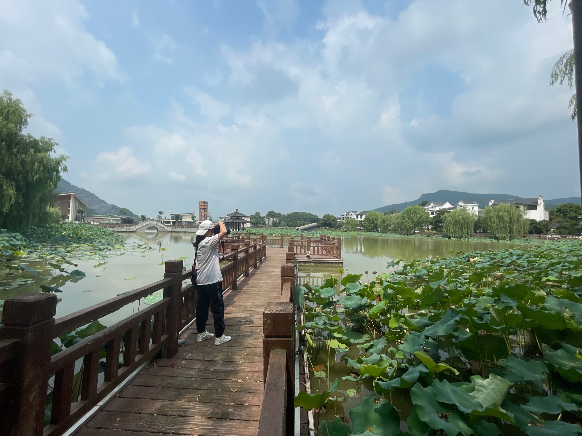 里叶十里荷花旅行图片 3
