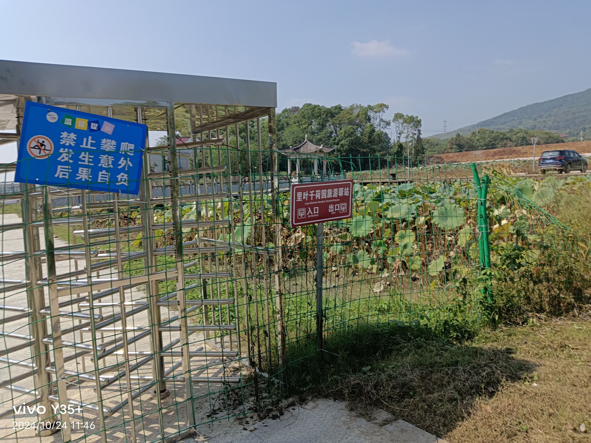 里叶十里荷花旅行图片 3