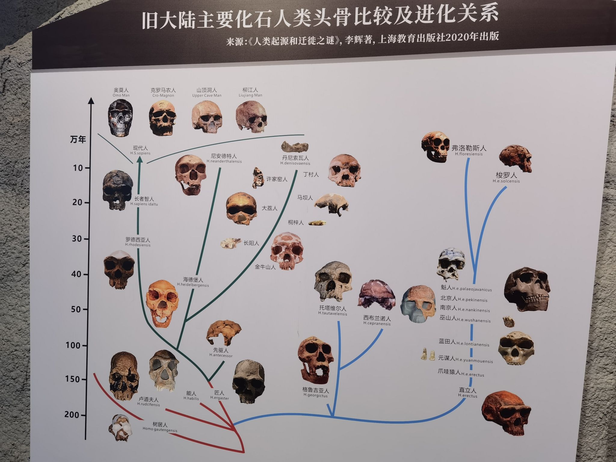 甑皮岩国家考古遗址公园旅行图片 2
