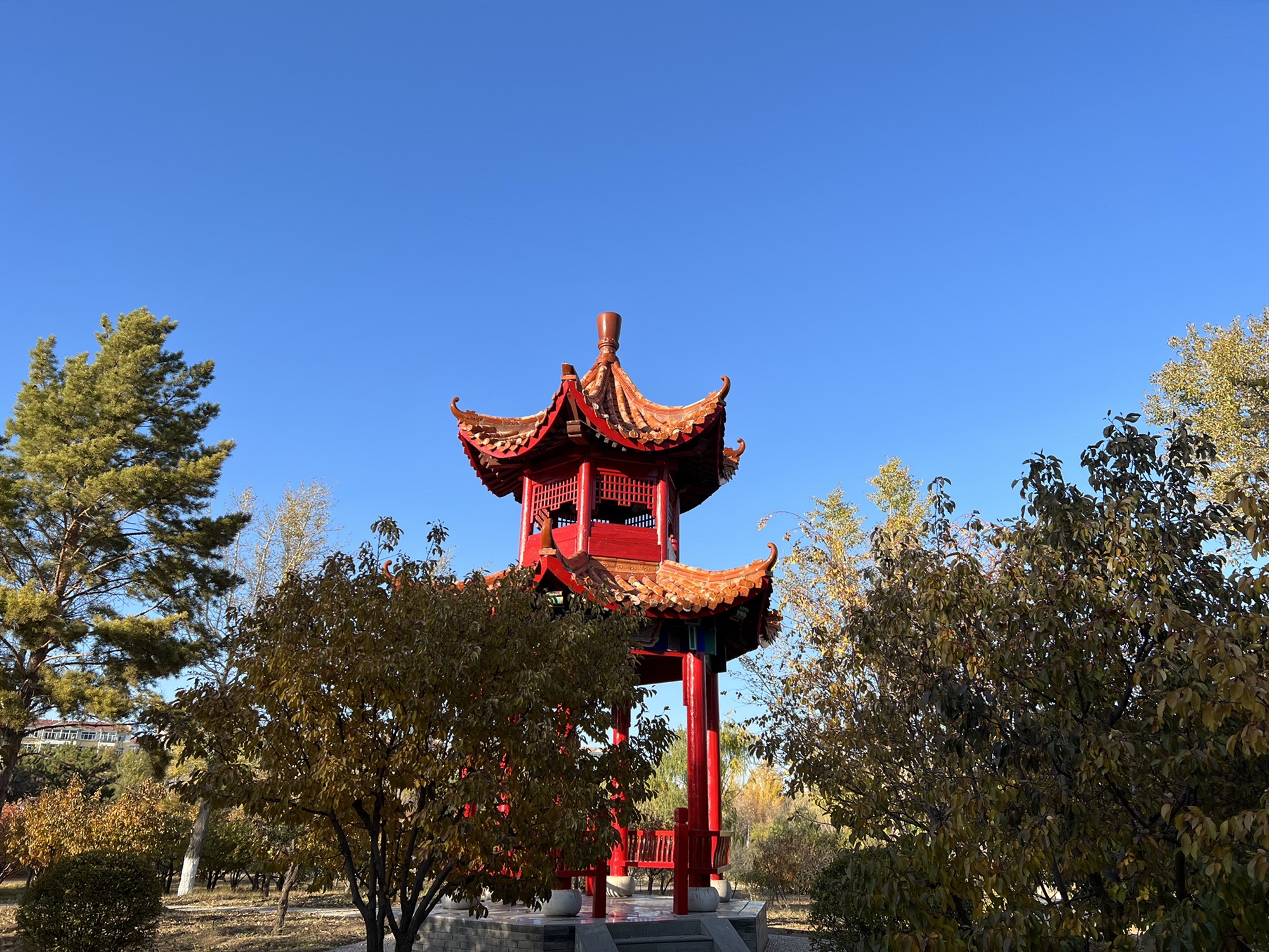 乌兰察布植物园旅行图片 1