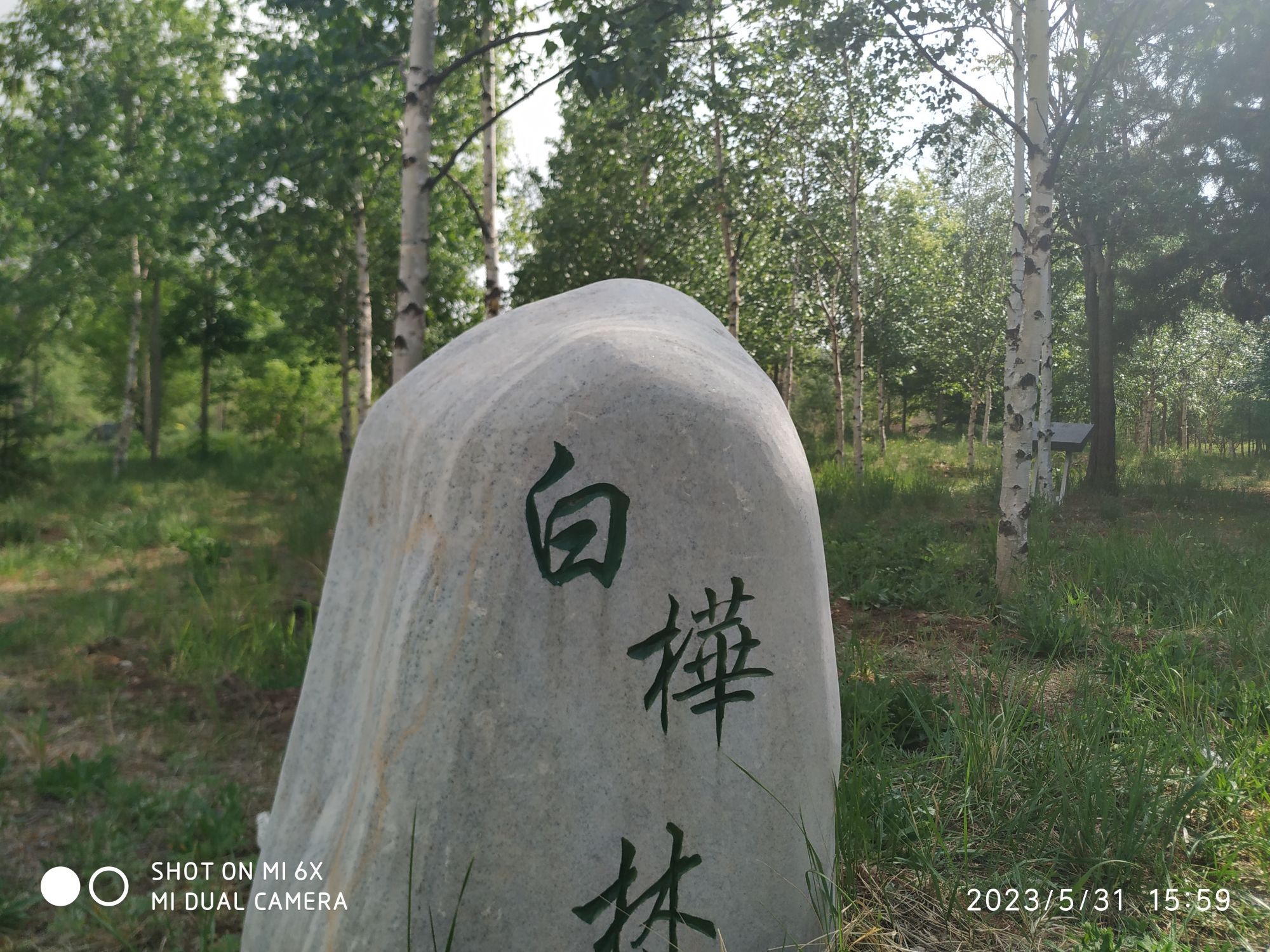 乌兰察布植物园旅行图片 2