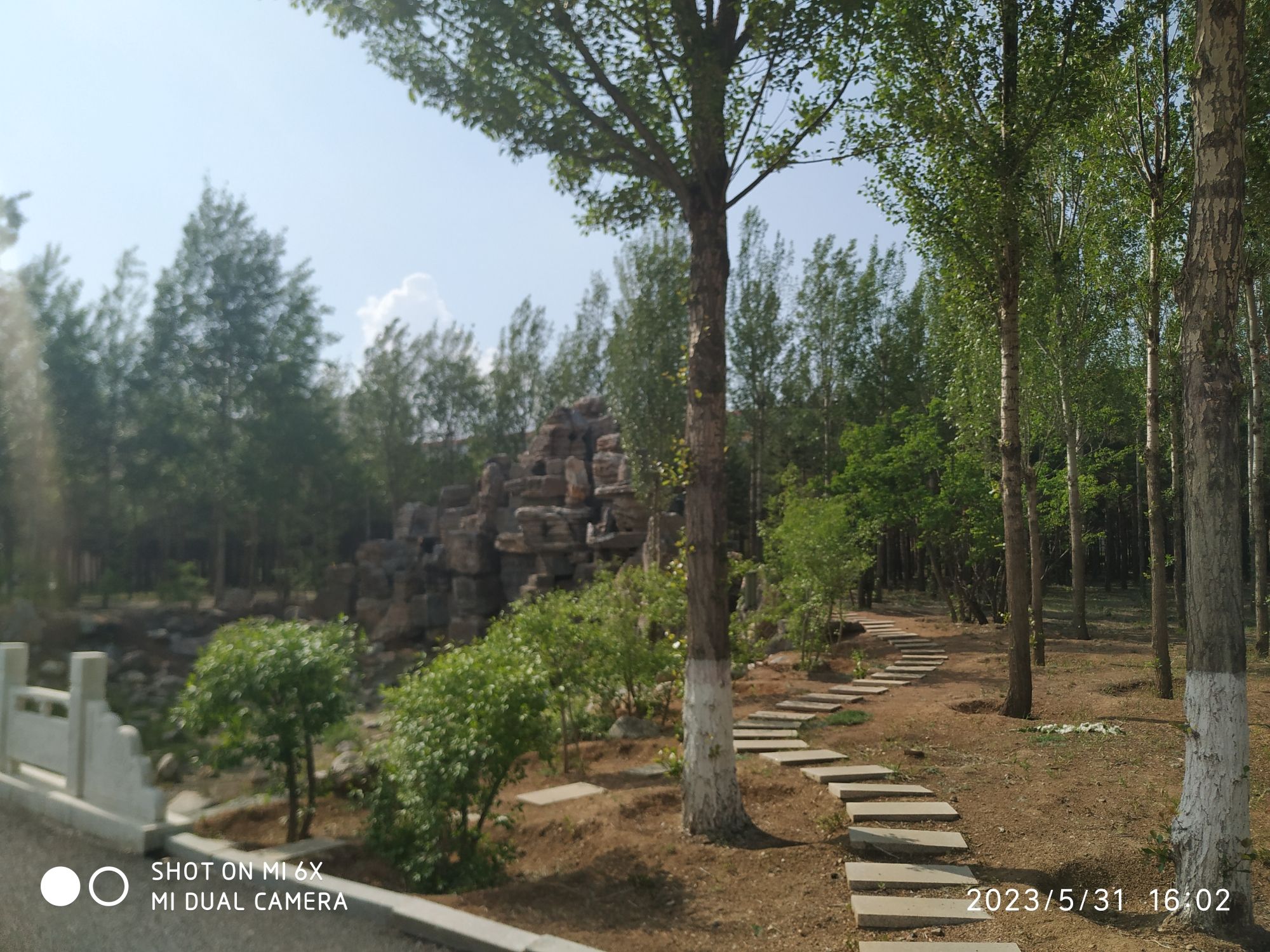 乌兰察布植物园旅行图片 3