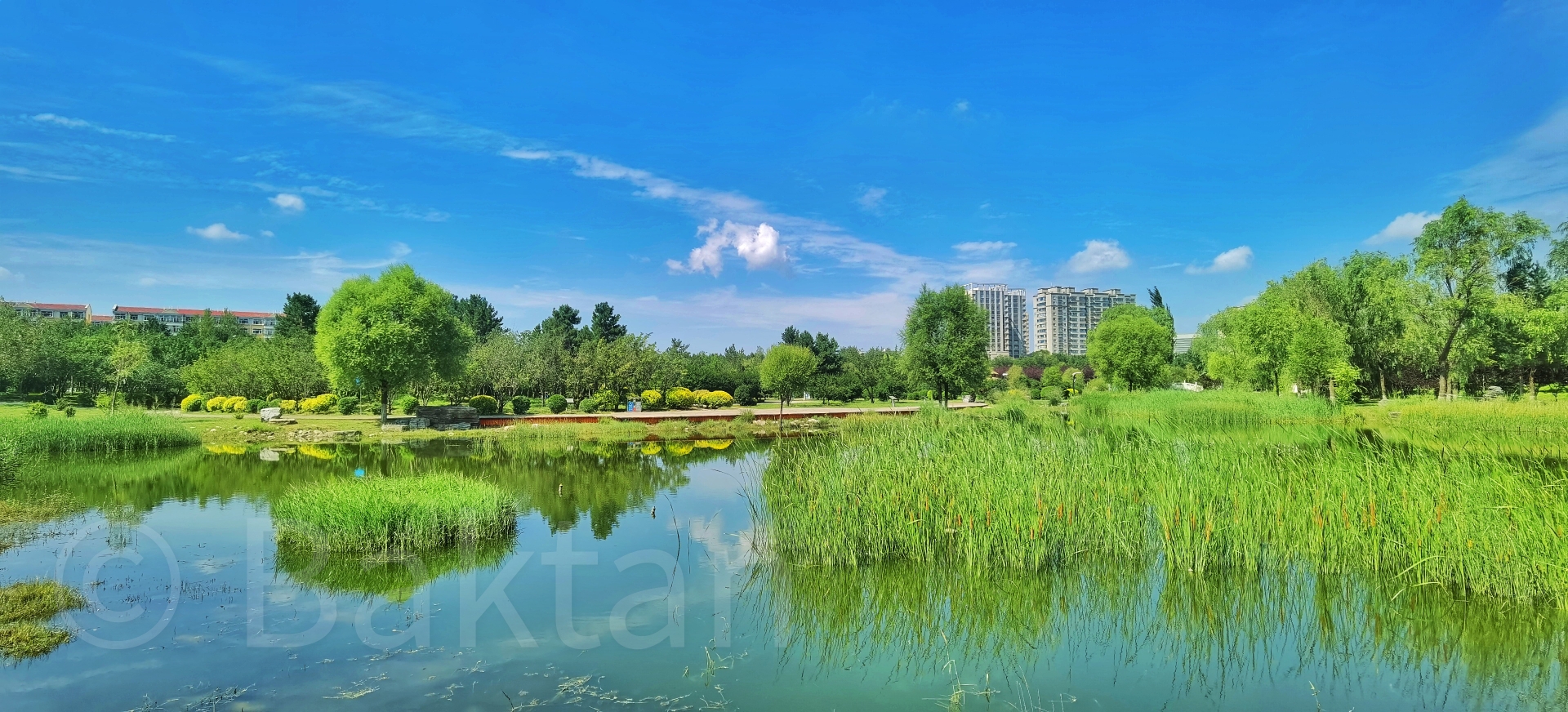 乌兰察布植物园旅行图片 2