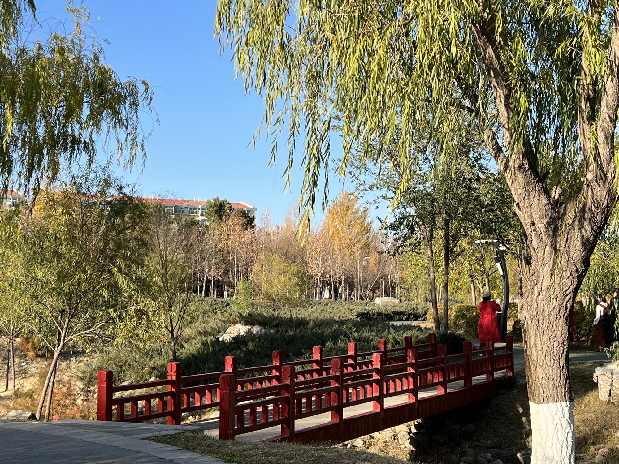 乌兰察布植物园旅行图片 3