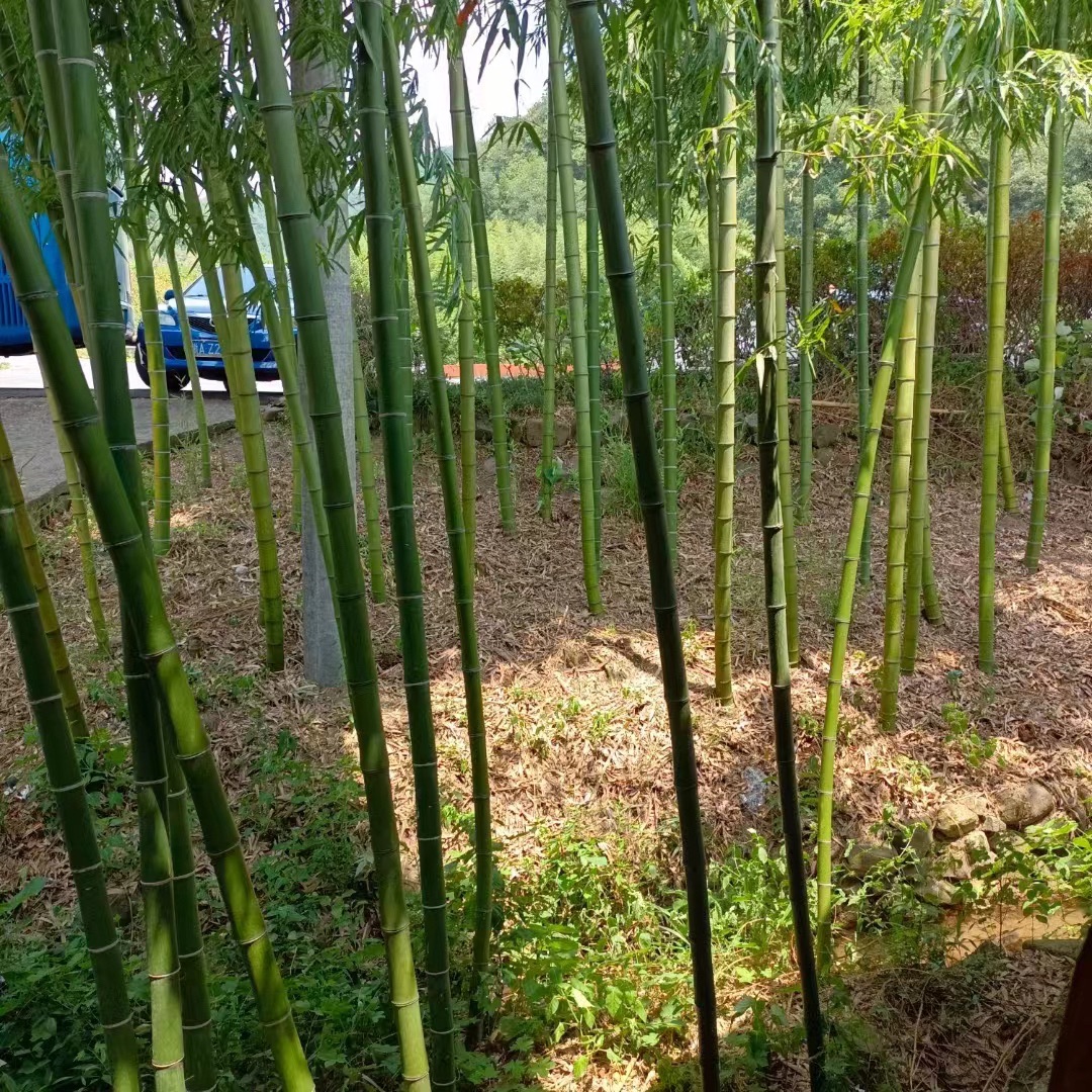 湖源溪漂流旅行图片 3