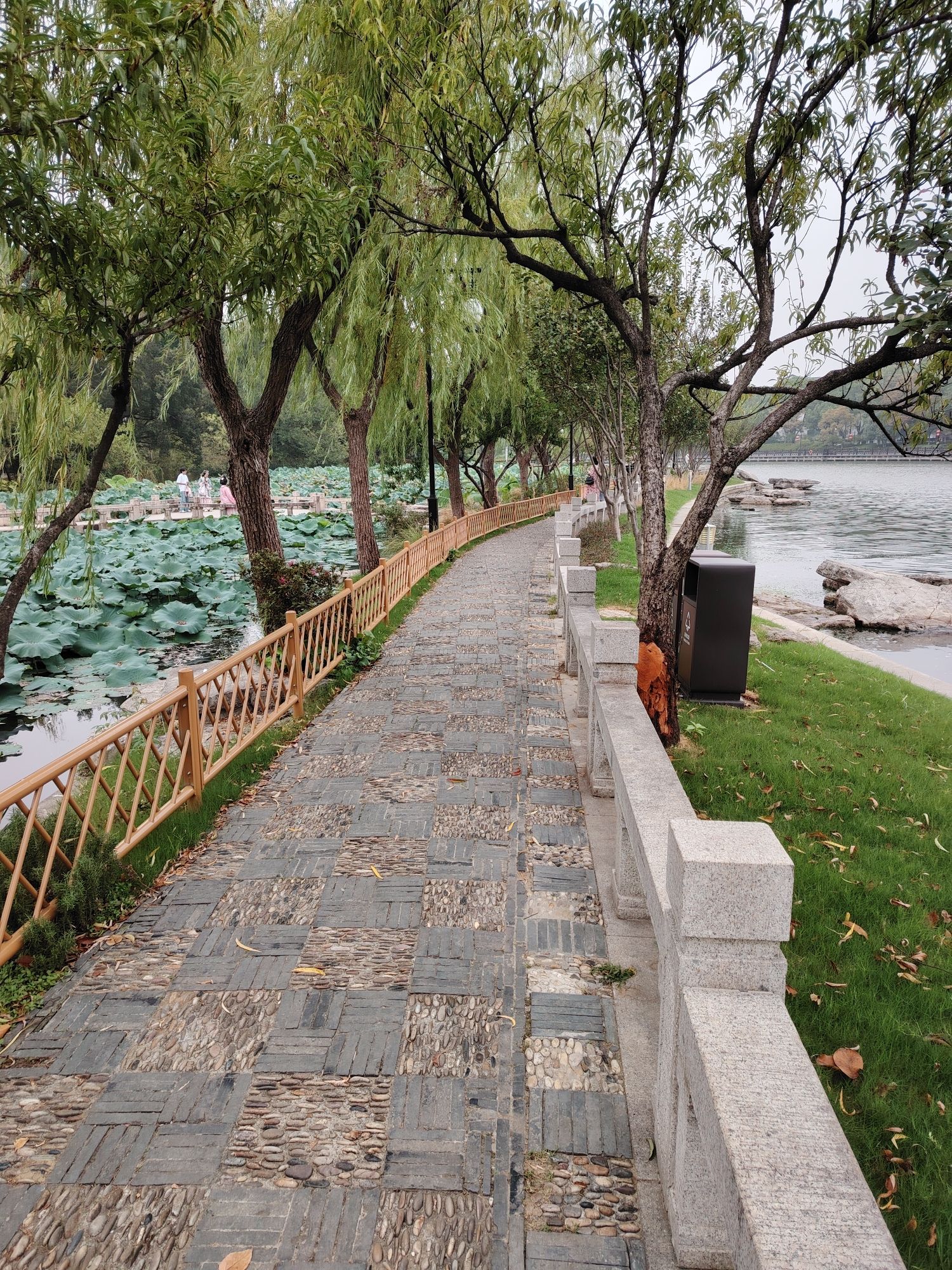 平江路旅行图片 2