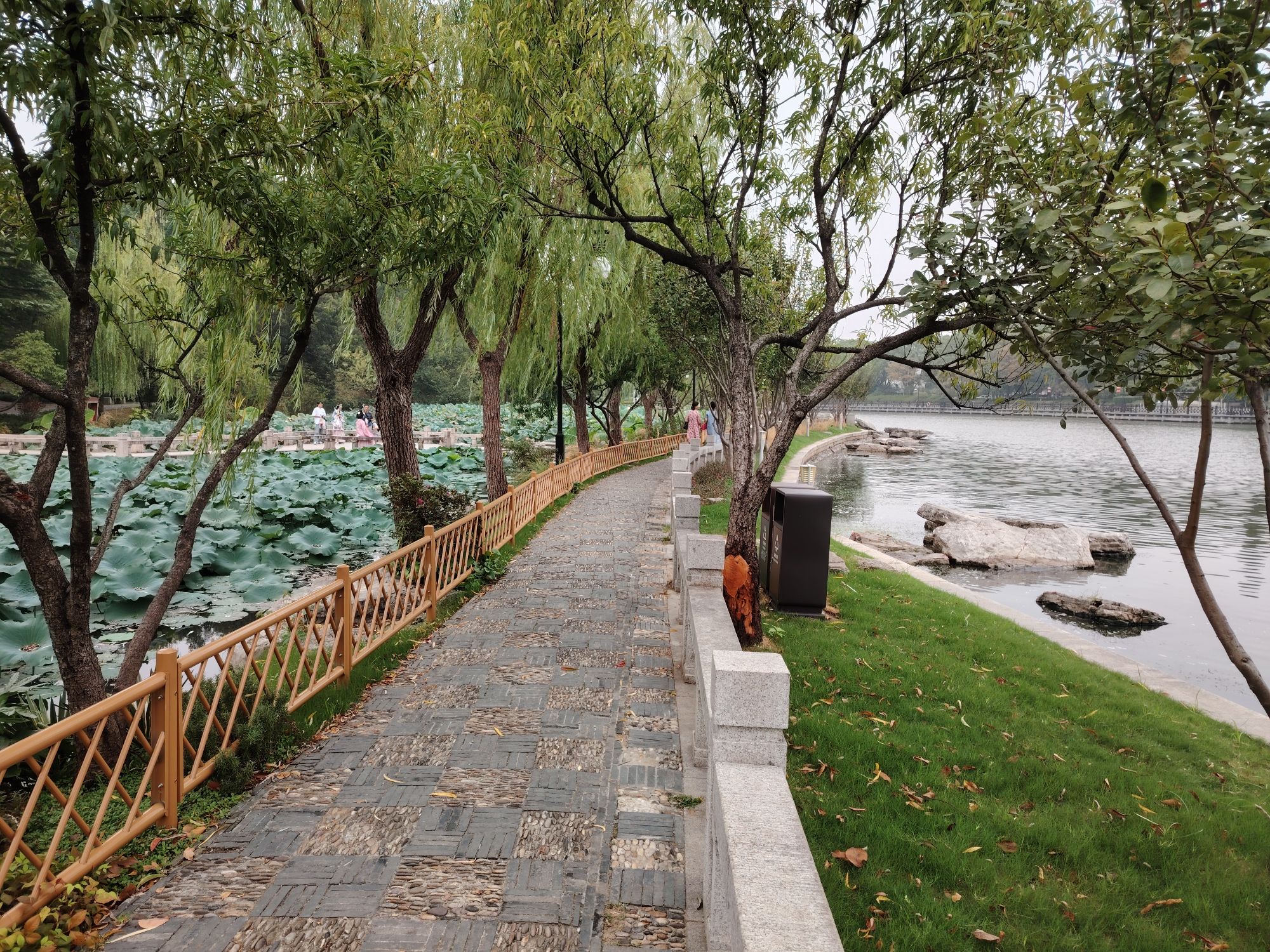 平江路旅行图片 1
