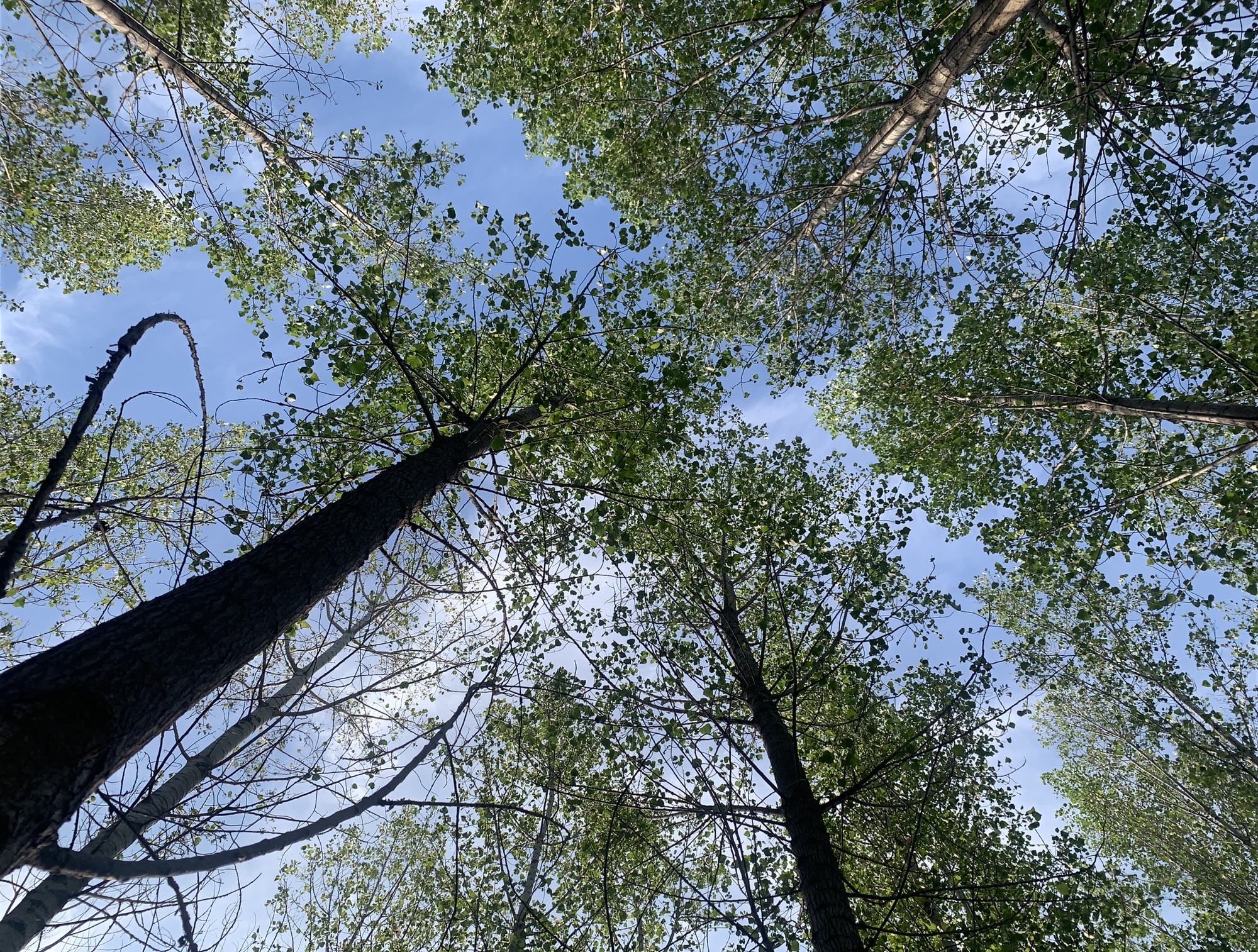 襄湖岛湿地公园旅行图片 3