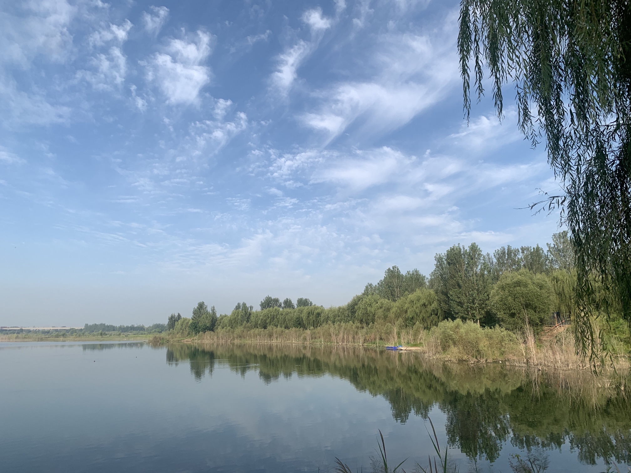 襄湖岛湿地公园旅行图片 1