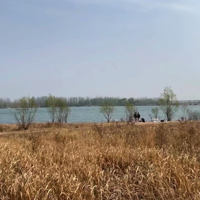 襄湖岛湿地公园旅行图片 3